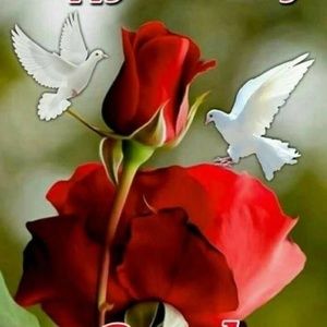 Meet your Posher, Nayyara